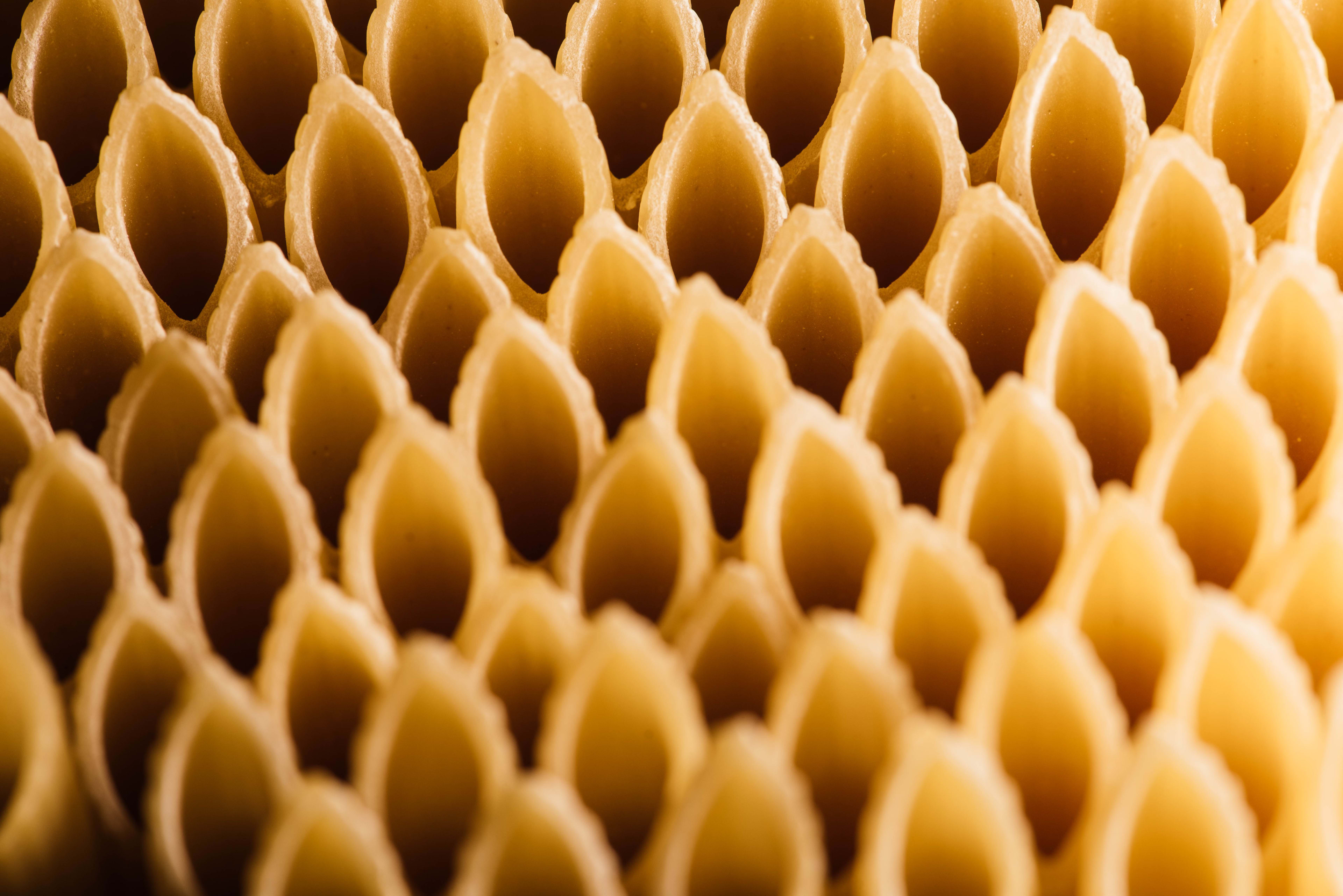 <h2>Honeycomb Pasta</h2>
