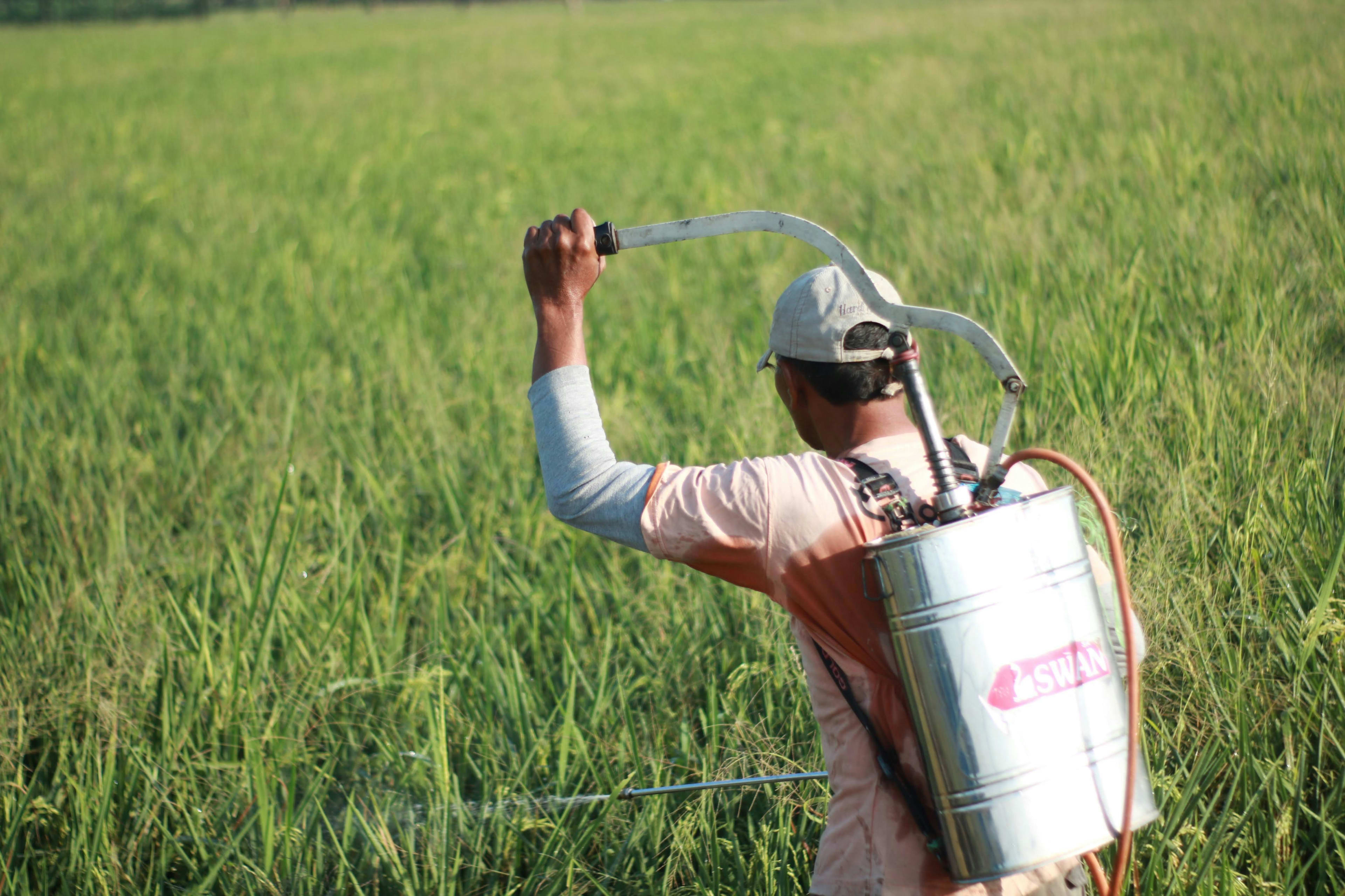 What Impact Do Farming Practices Have on the Environment?