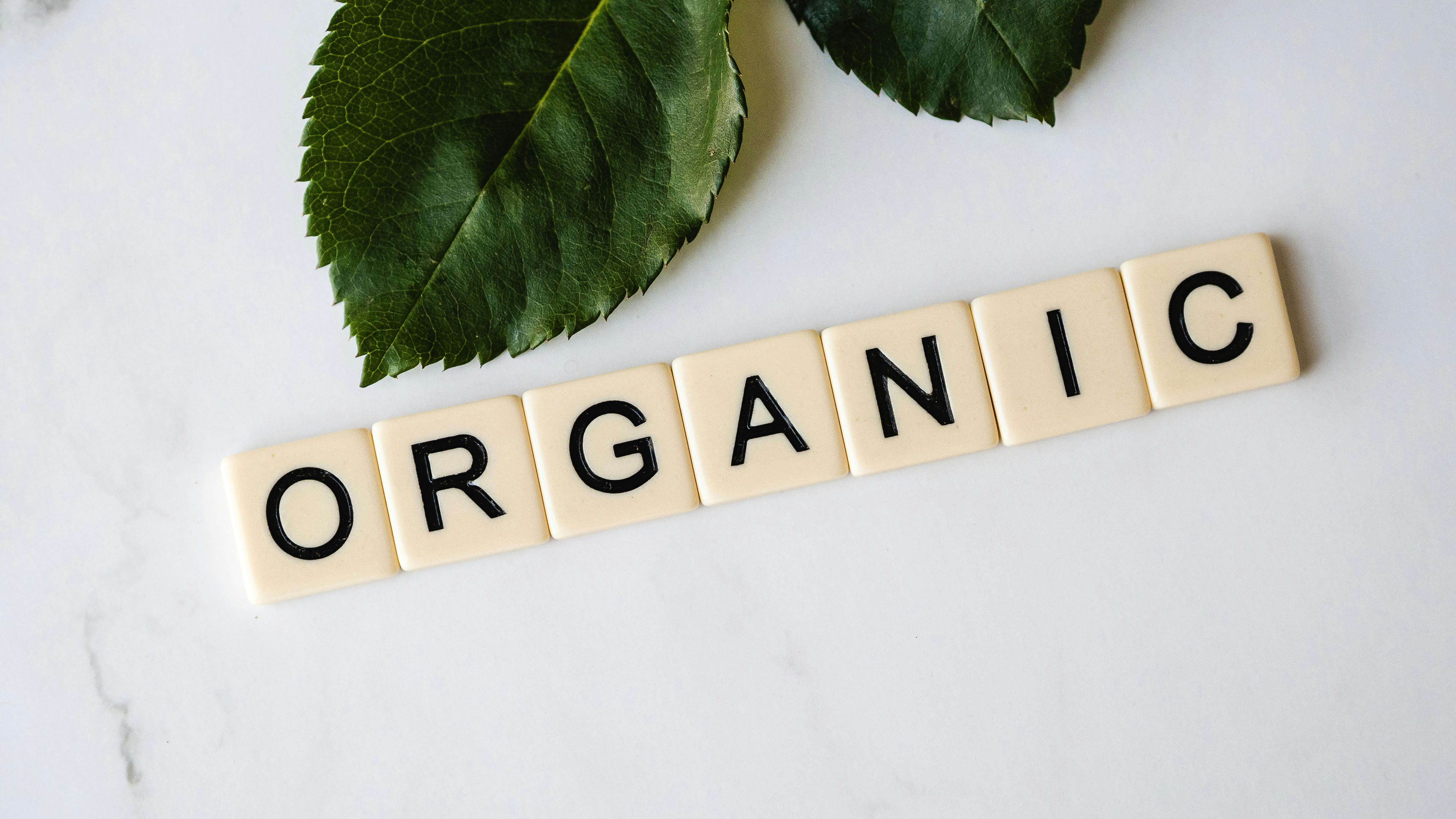 What Does Organic Mean?